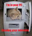 Im in your PC stealing your interne.jpg